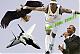 THE JET's Avatar