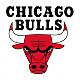 BULLS4EVER's Avatar