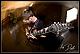 Jeff Loomis's Avatar