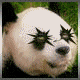 Pandaemonaeon's Avatar